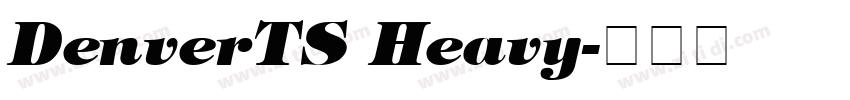 DenverTS Heavy字体转换